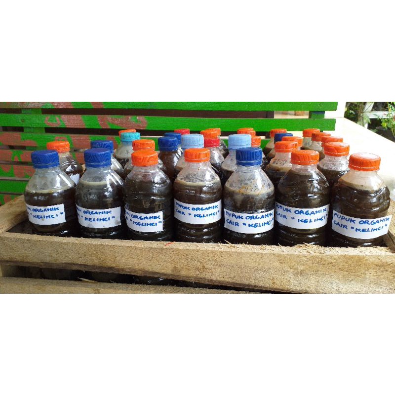 Pupuk cair urine kelinci fermentasi