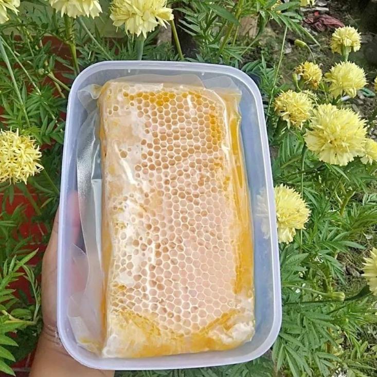 

✨STAR✨ Sarang madu asli murni melifera 500 gr terlaris dari tangan pertama pure honey grosir