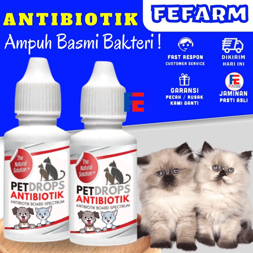 Antibiotik Kucing Cat Kitten Infeksi Antibiotik Pet Drops Kucing Ampuh FEFARM