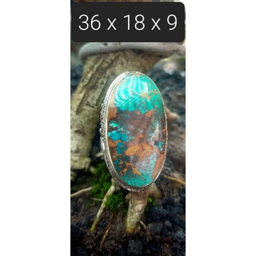 pirus persia lawasan jumbo TOP HQ