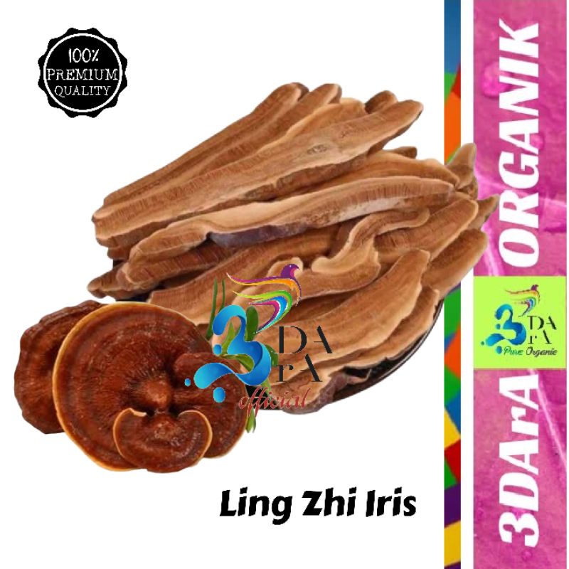 

Jamur Lingzhi Iris 100gr - Jamur Ling Zhi Premium Asli Tanpa Campuran