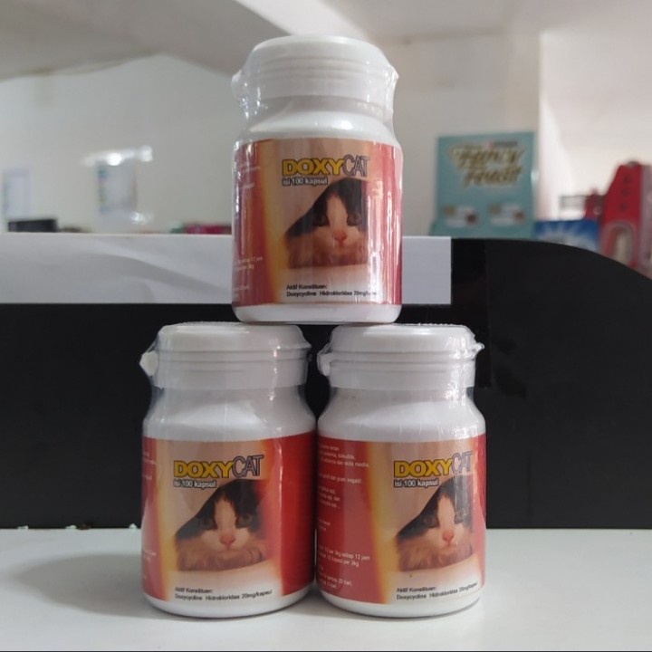Obat Flu Kucing Doxy Cat 1 botol - 100 Kapsul DoxyCat Im Organik Doxy Cat