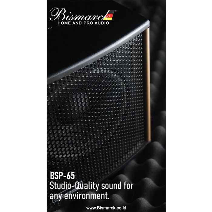 Speaker pasiv bismarck 6.5 inch BSP-65 salon karaoke pasip bsp65