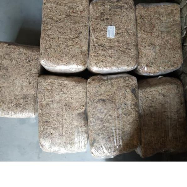 ✽ Sphagnum Chille Moss 200 Gram ✮