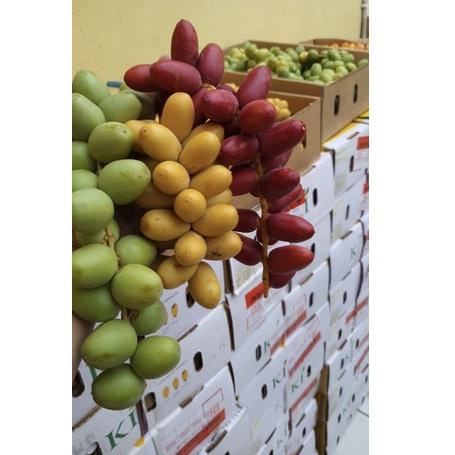 

➦ READY KURMAMUDA BUKAN FROZEN (FRESH) free zuriatbelah dan rahim (PEMBELIAN KURMAMUDA LANGSUNG DIKASIH BONUS, BIAR LEBIH MAKSIMAL ) ☚