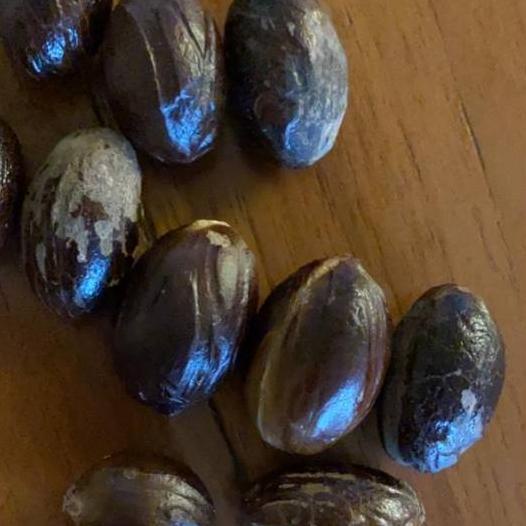 

← Pala Lonjong / Pala kulit asal Papua dapat 1kg. Paling Murah ➨
