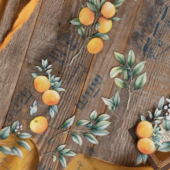 

Loi Design Focus on the Good PET Tape