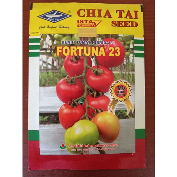 Benih Tomat Hibrida F1 FORTUNA 23 5gr Cap Kapal Terbang