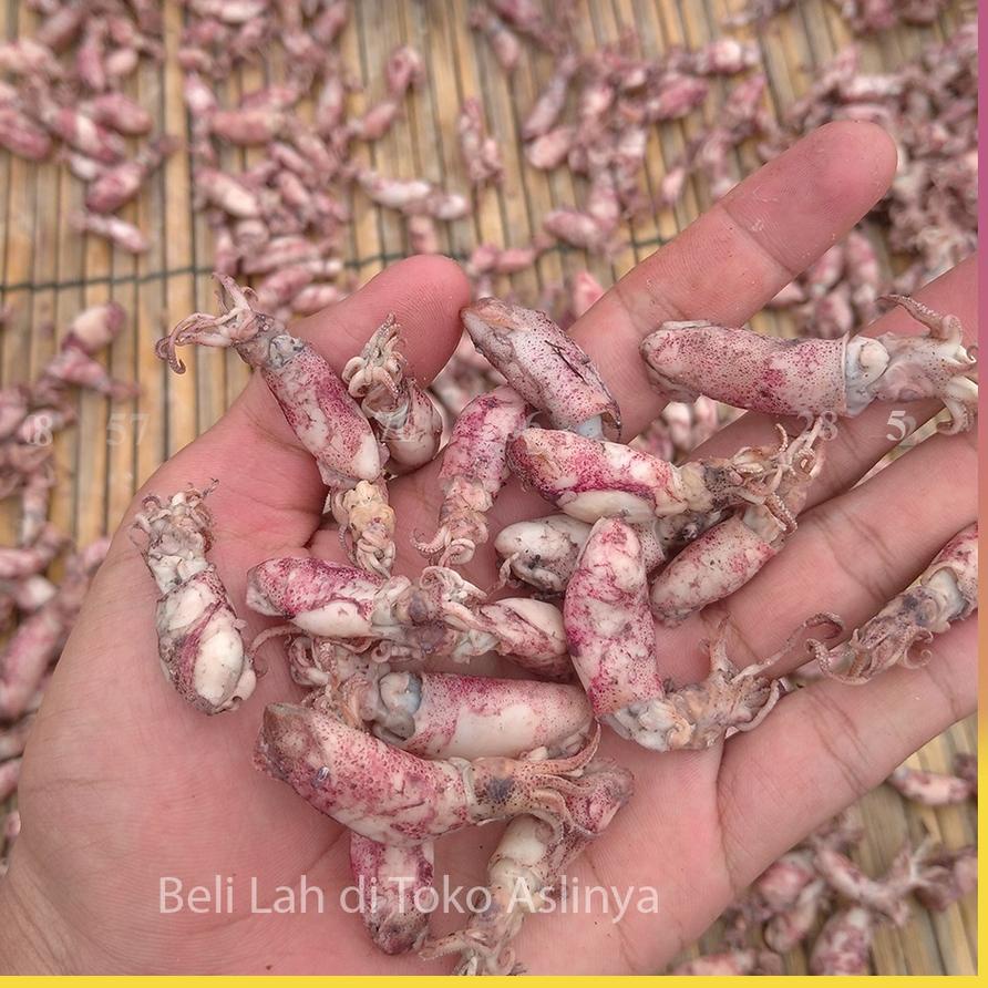 

✳ Baby Cumi Rebus Asin - Ikan Asin 1Kg ◄