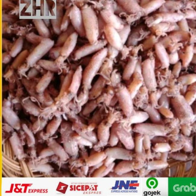 

✲ Cumi beby fresh 1kg baby cumi ☑