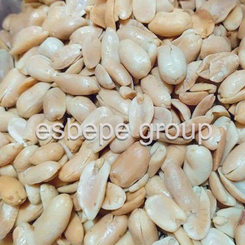 

TERLARIS kacang bawang BESAR empuk & lezat