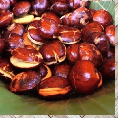 

➴ JENGKOL KUALITAS PREMIUM | GRADE AA ♢