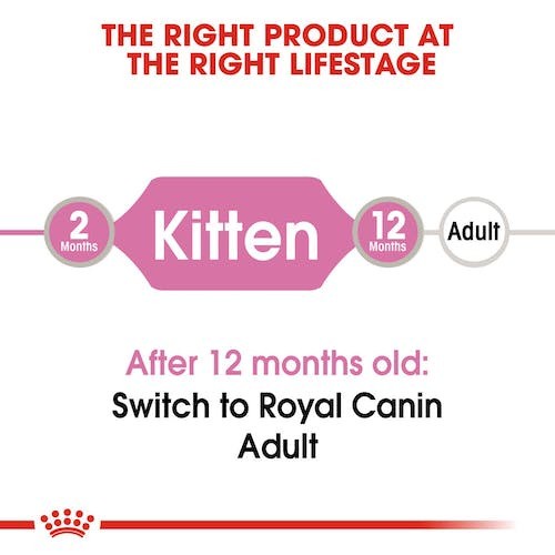 Royal Canin Kitten Jelly 85gr Wet Food Makanan Kucing Basah