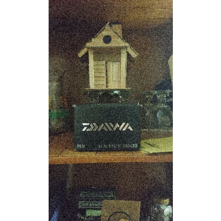 Daiwa exist 2506 h