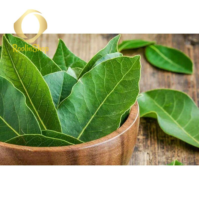 

DAUN SALAM SEGAR 200gram