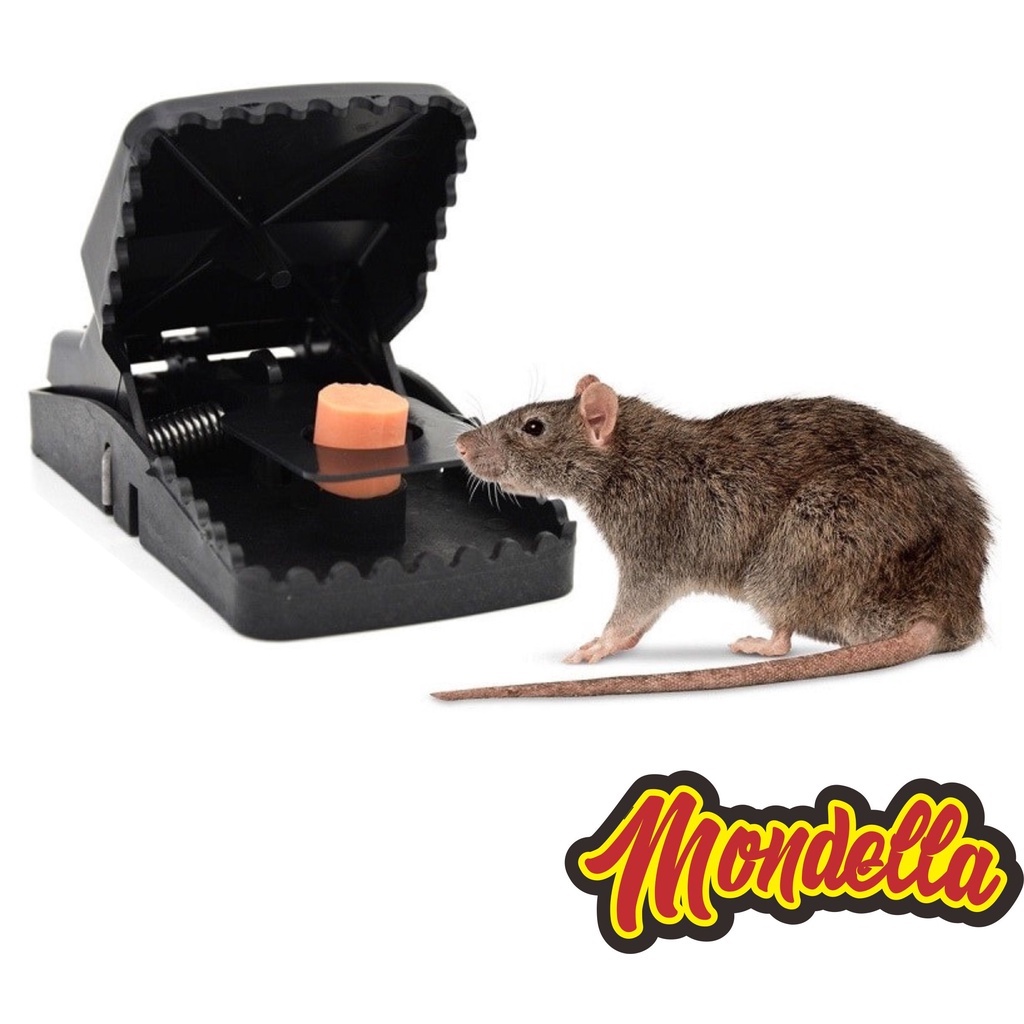 Perangkap Tikus PVC Jebakan Tikus Jepit Mouse Ampuh Trap Double Spring Power Full Jumbo Sensitive Trap Otomatis Automatis MONDELLA