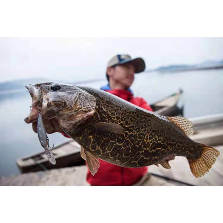 Umpan Casting 9cm/6g Ikan Kecil Lure Tembakan Panjang Penuh Air Umpan Pancing Umpan Keras