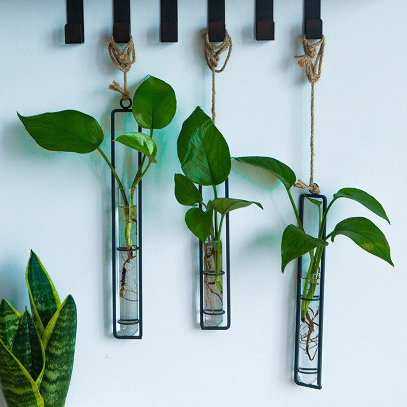 ღ Gantung Kaca Vas Hidroponik Planter Pot Tabung Rami Tali Liontin Transparan Bunga Gantung Botol Bertahan Dinding Ornamen Dekorasi