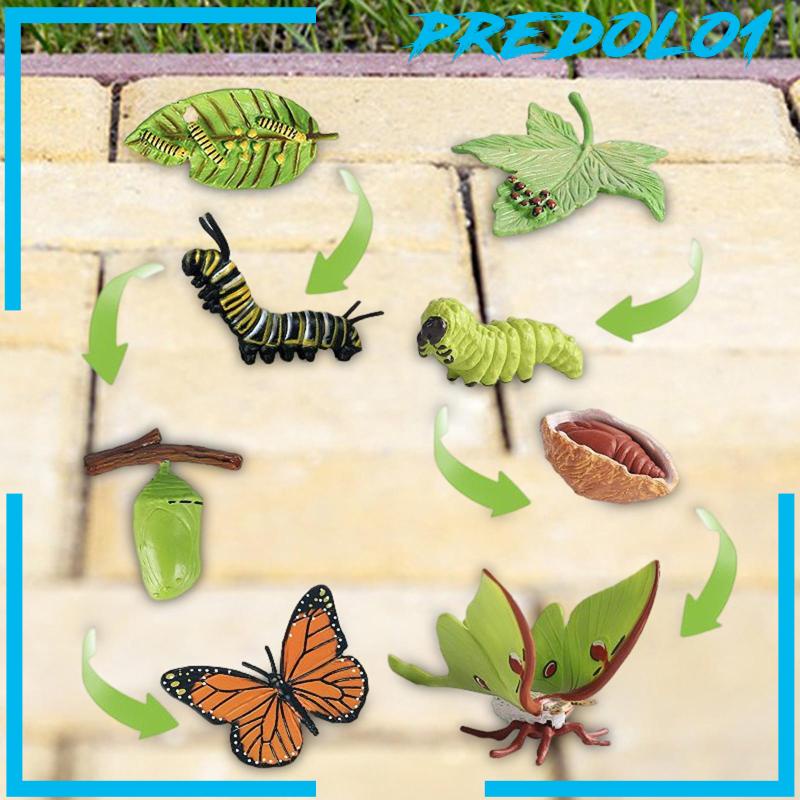 [Predolo1] Montessori Butterfly Moth Life Cycle Figure Biologi Untuk Souvenir Pesta