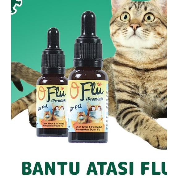 O-Flu Obat Flu Herbal Kucing dan anjing 20ml