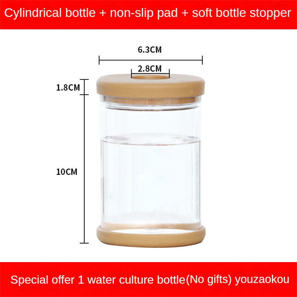 Vases Vas Bunga Hidroponik Pot Tanaman Tanpa Tanah Transparan Pot Dalam Ruangan Meja Tangki Ikan Mini Pot Bunga Meja Ornamen Botol Transparan