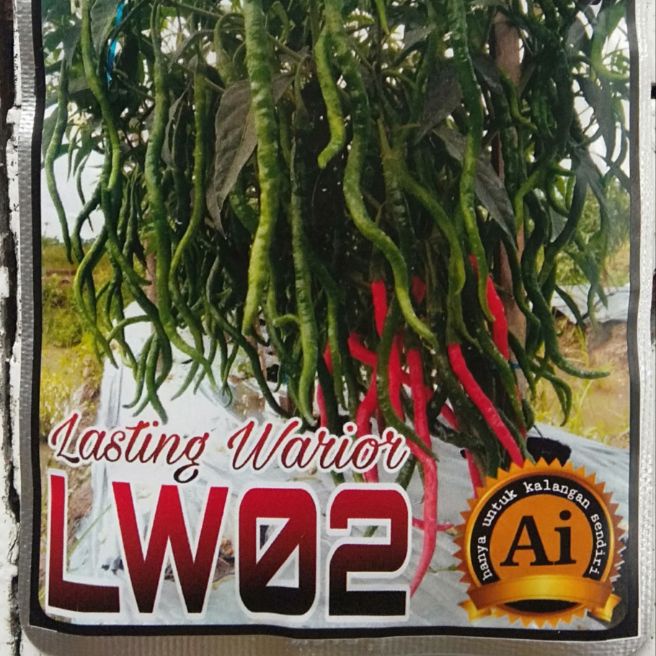 Benih Cabe inbrid Tangguh LW 02 (bisa COD)