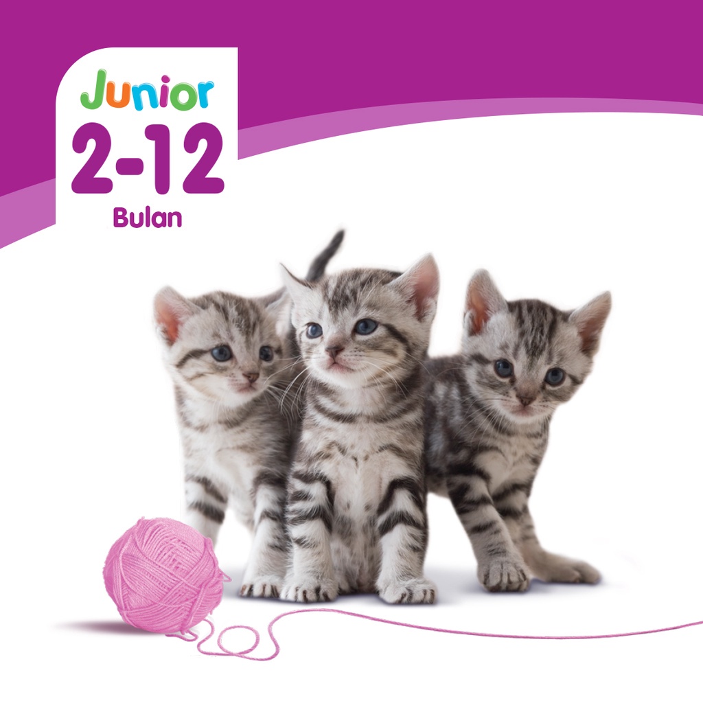 WHISKAS Junior Makanan Kucing Kering, 1.1 kg. Makanan Anak Kucing untuk umur 2-12 bulan Junior Ocean Fish 1.1KG / Dry Kitten Mother Baby Cat Food