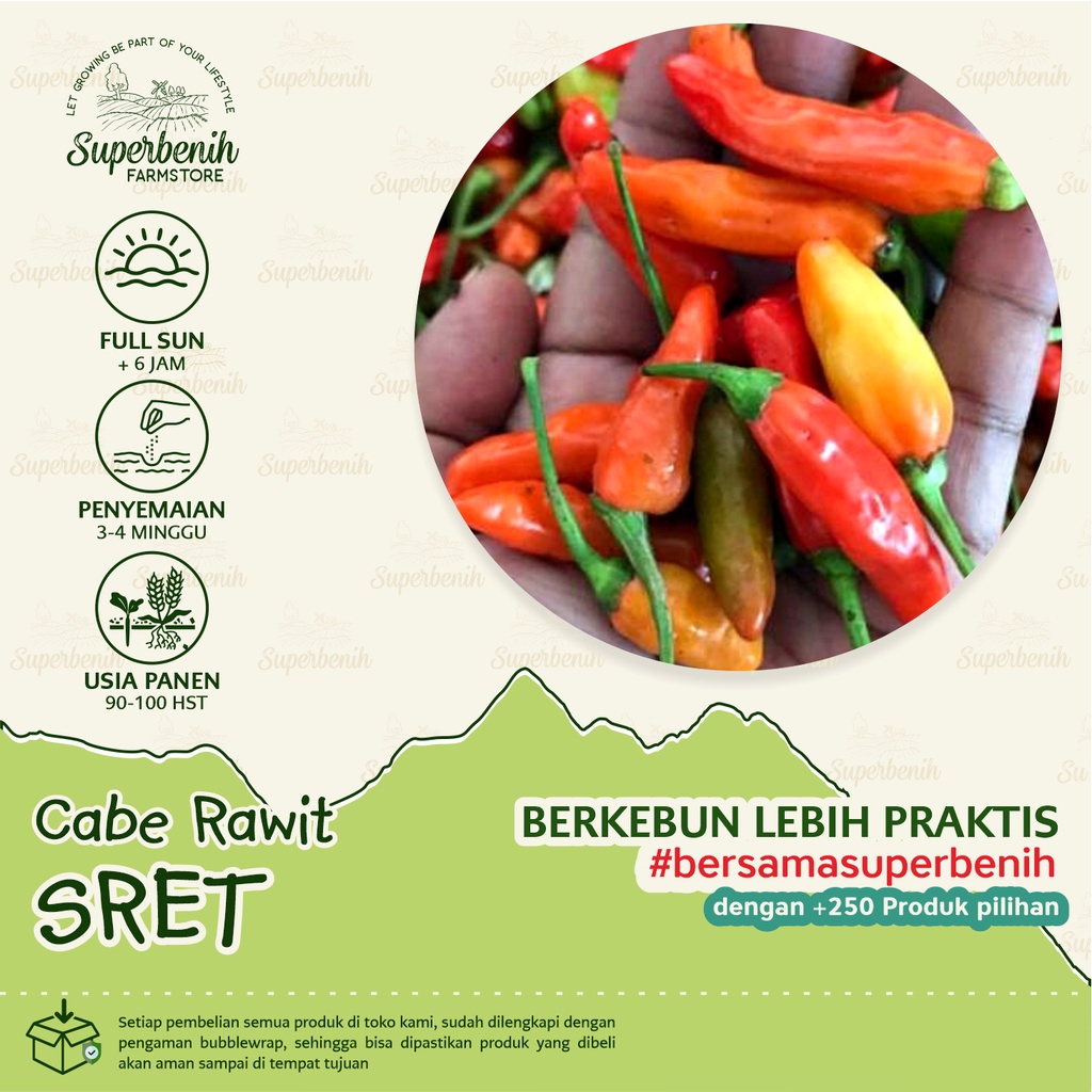Benih murah 25 Biji - Benih Cabe Rawit SRET untuk dataran rendah dijual