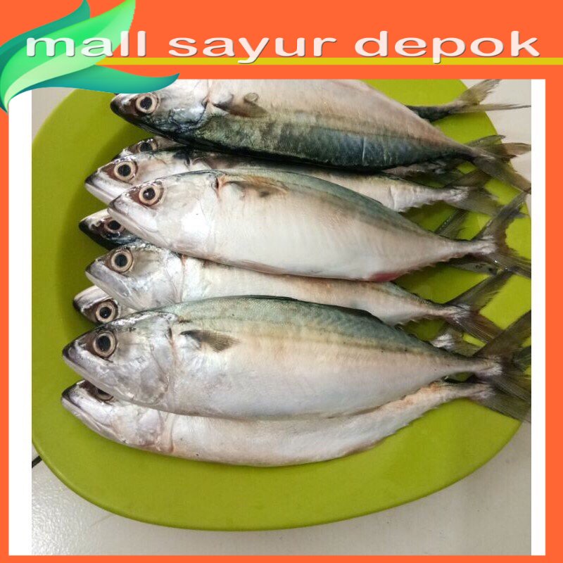 

Ikan kembung Banjar