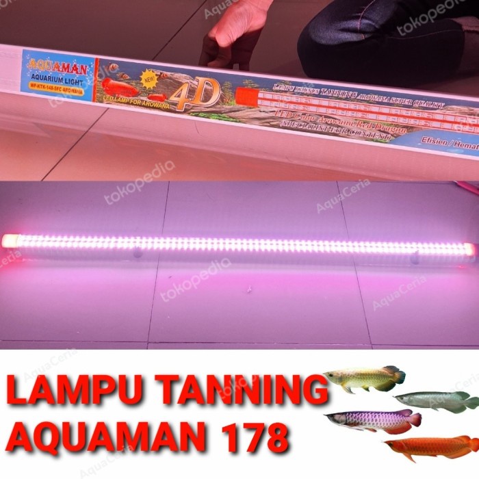 lampu tanning aquarium lampu tanning arwana Aquaman Spesial kontes