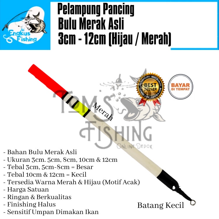 Pelampung Pumbul Pancing Bulu Merak Asli 3cm - 12cm (Merah / Hijau) Original Murah - Engkus Fishing