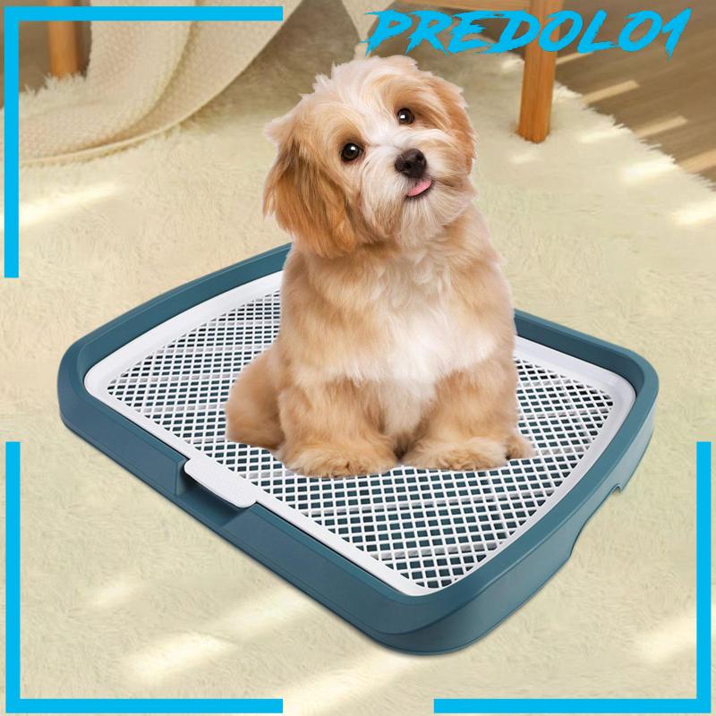 [Predolo1] Mesh Dog Toilet Litter Box Mudah Bersih Nyaman Untuk Anjing Kecil Dan Sedang