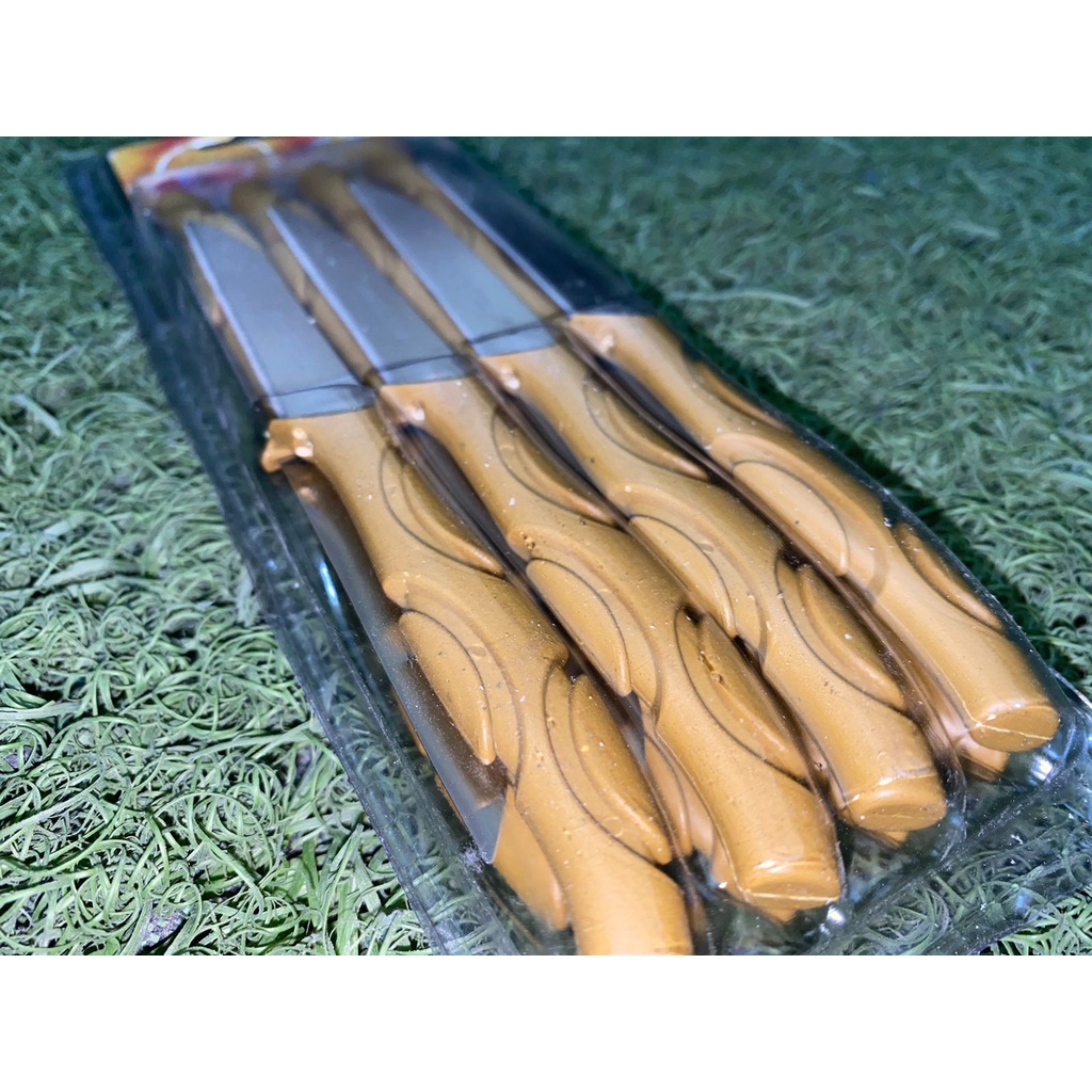 [RA] PISAU BUAH STAINLESS STEEL 1 LUSIN 12 SET PCS 12PCS 12SET KUALITAS TERBAIK TAHAN KARAT