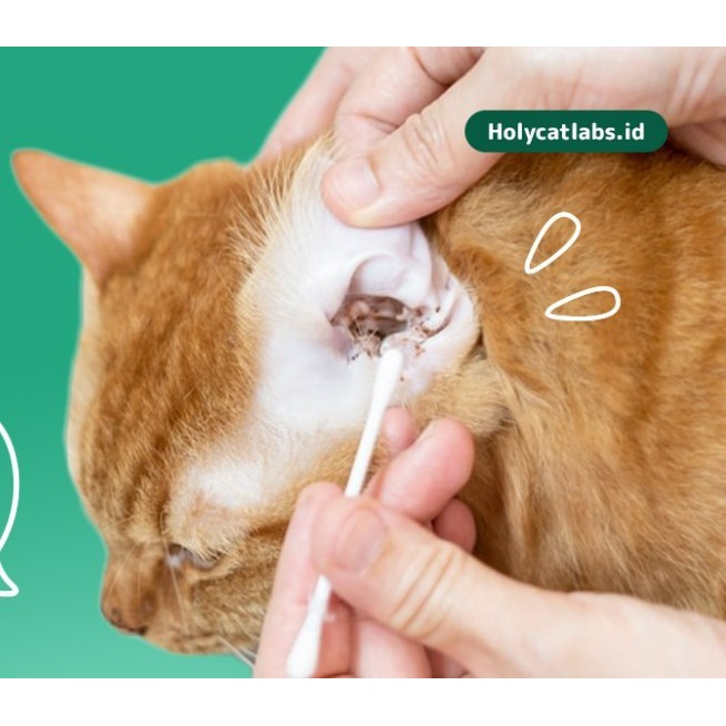 Royal Care Telinga Obat Telinga Kucing 10ml