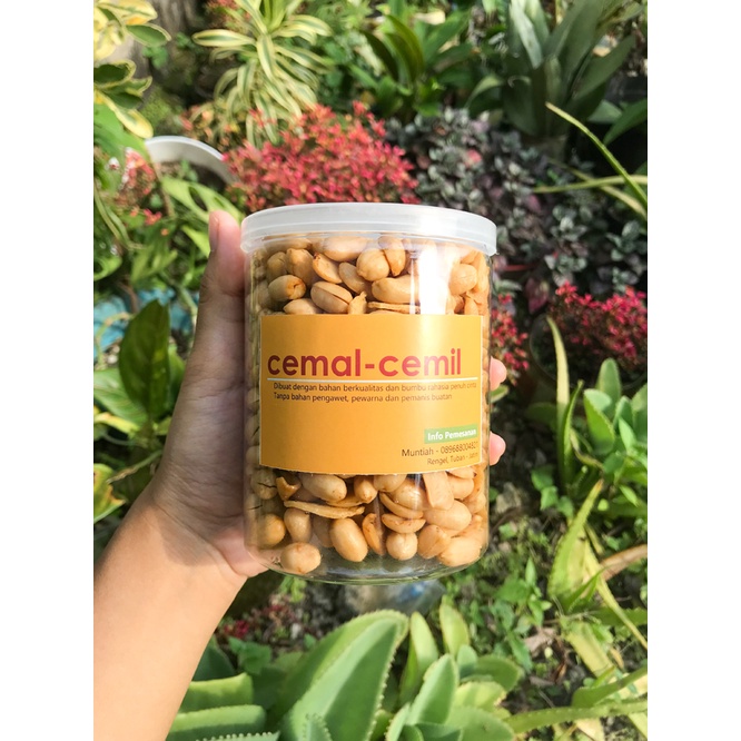 

Termurah! 250gr Kacang Bawang Kualitas Super Kemasan Plastik Sealer