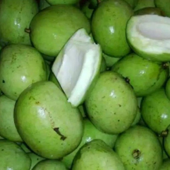 [Ready Stock] Mangga Muda Mengkal untuk Rujak 1 KG