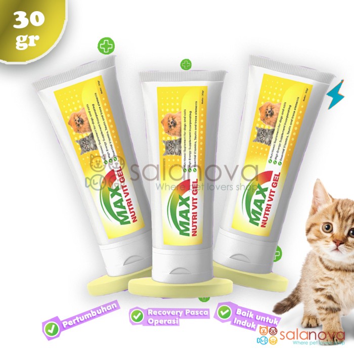 Max Nutri Vit Gel Vitamin Suplemen Kucing 30gr