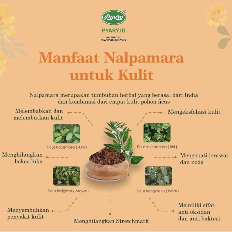 READY‼️ Nalpamara Herbal Soap Pyary 100% Ori BPOM | Sabun Arab Pyary Nalpamara Original