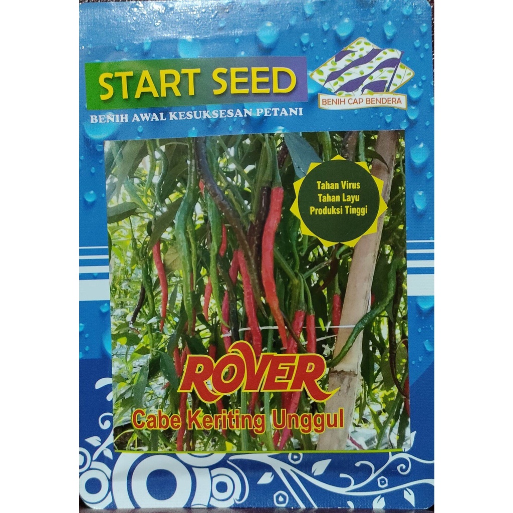 Benih Cabe Keriting Unggul ROVER TAHAN LAYU