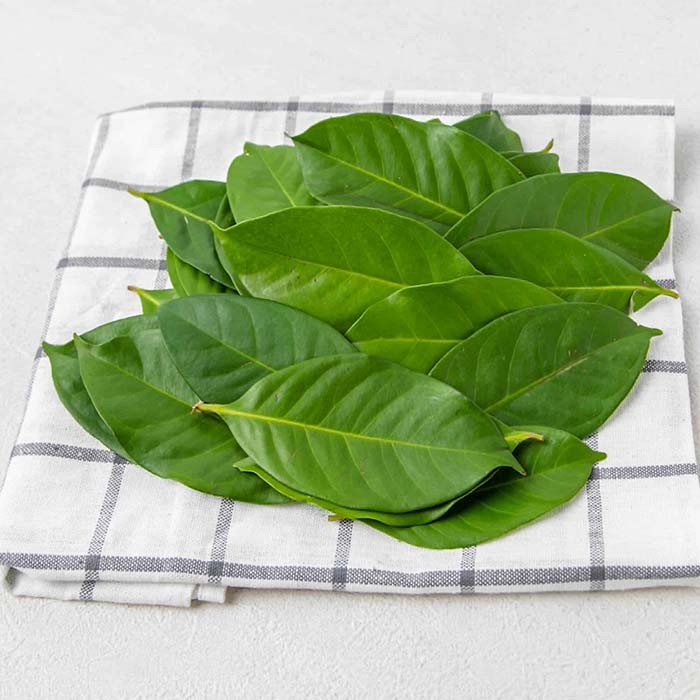 

[Ready Stock] Daun Salam 10 gram