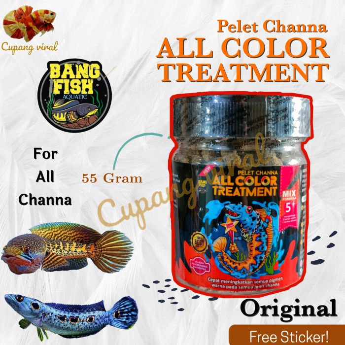 Pelet Channa ALL COLOR TREATMENT Bang Fish Aquatic