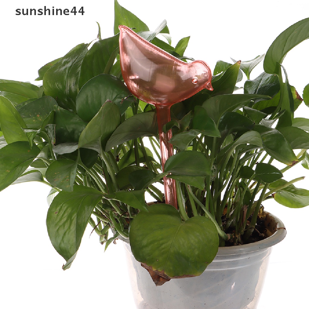 Sunshine Tanaman Otomatis Self Watering Water Ball Pot Bunga Alat Irigasi Tetes ID