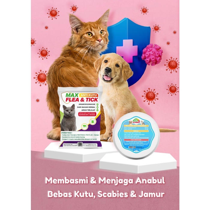 Max Anti Kutu Obat Anti Kutu Kucing