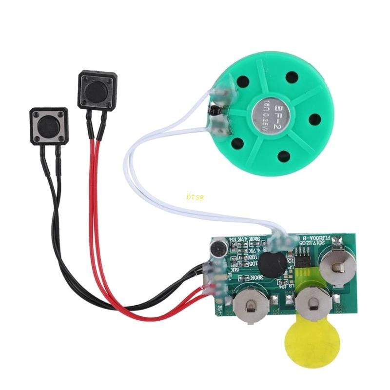 Papan Perekam Musik Suara btsg Modul Chip Rekaman Suara Sensitif