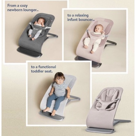 Ergobaby Baby Bouncer Evolve 3-in-1