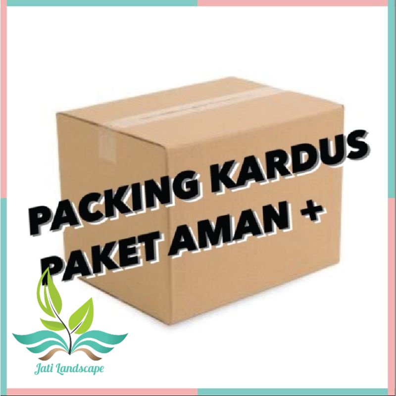 

PACKING TAMBAHAN KARDUS LEBIH AMAN