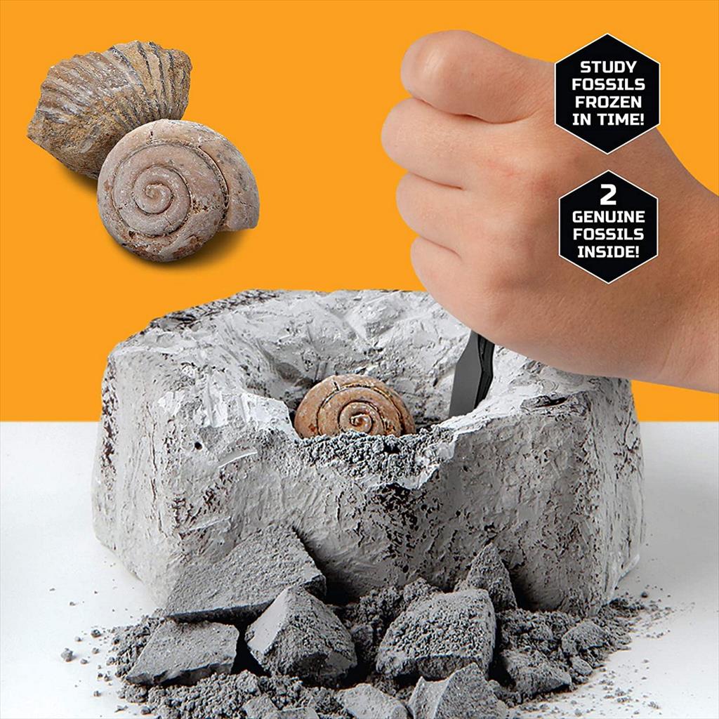 Discovery 1423004771 Fossil Unearthed Mindblown Educational STEM