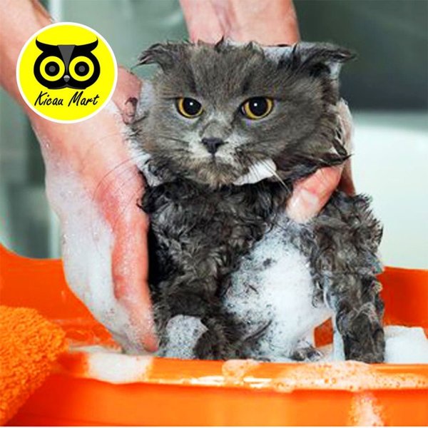 Shampoo Sampo Kucing Anjing Bulu Wangi Anti Kutu Shampo Ebod Anti Bakteri Pet Grooming Degreaser Pet Shampoo Ampuh Atasi Bulu Kusam Russak Kering Rontok