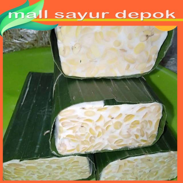 

Tempe [1 potong]