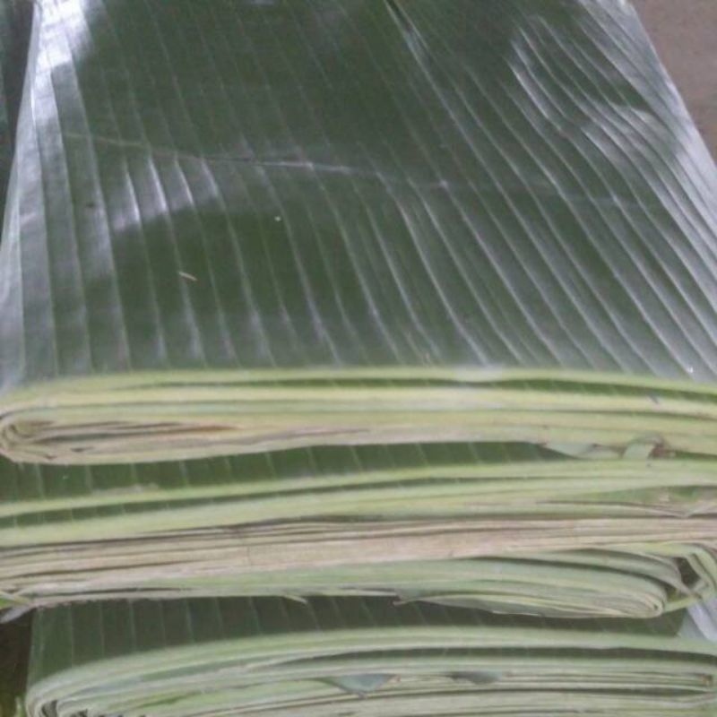 

Daun pisang raja RAJA KWALITAS TERBAIK SEGAR LEBAR READY STOK